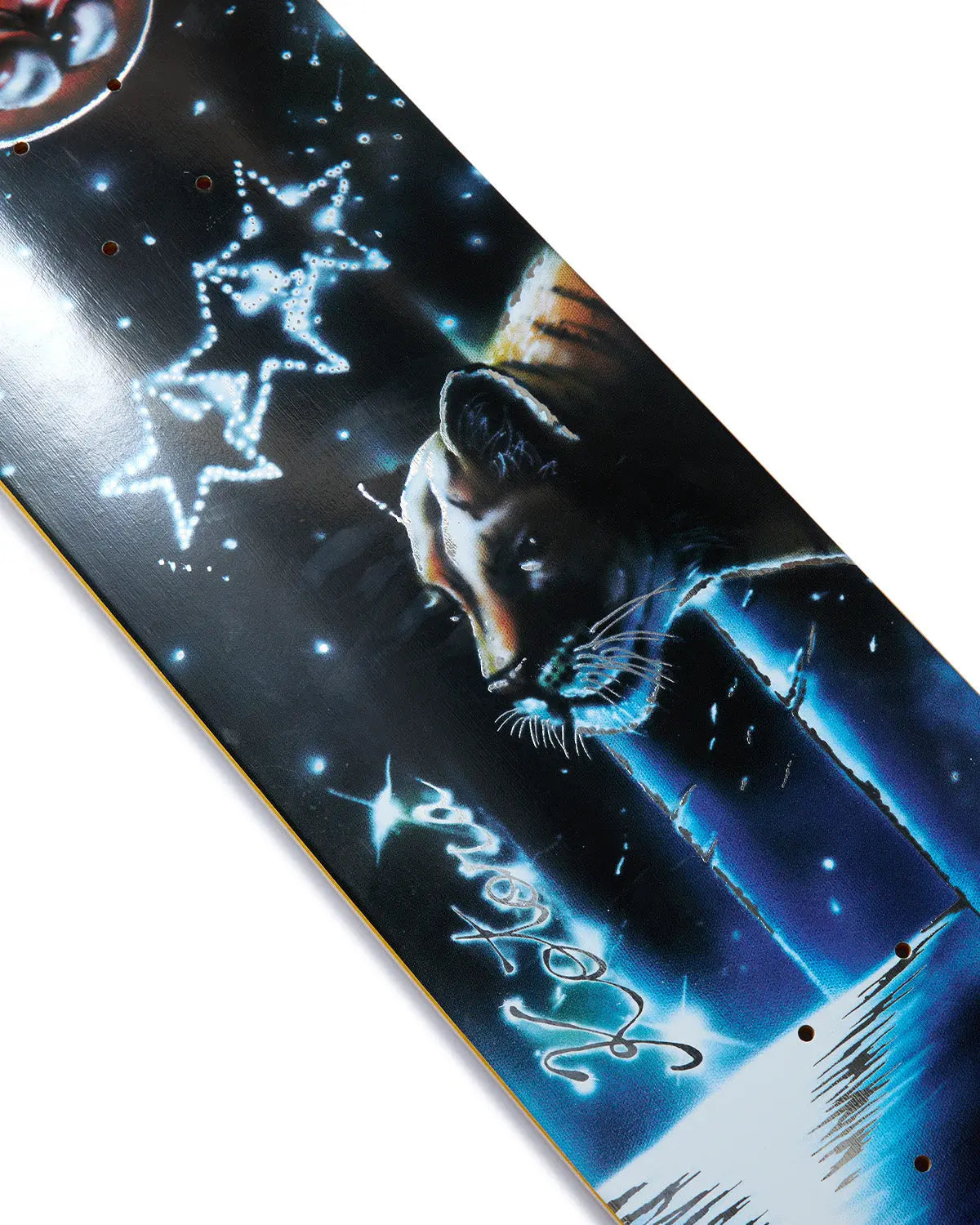 EVISEN TIGER IN THE SHINING NIGHT KOTORA MITANI pro deck 8.125 Evisen