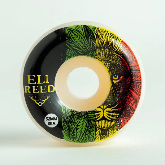 SATORI Eli REED Lion STRIPE SATORI