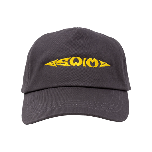 Casquette grise Swim Skateboards TRIBAL LOGO, 5 panneaux, vue frontale, style décontracté et tendance.