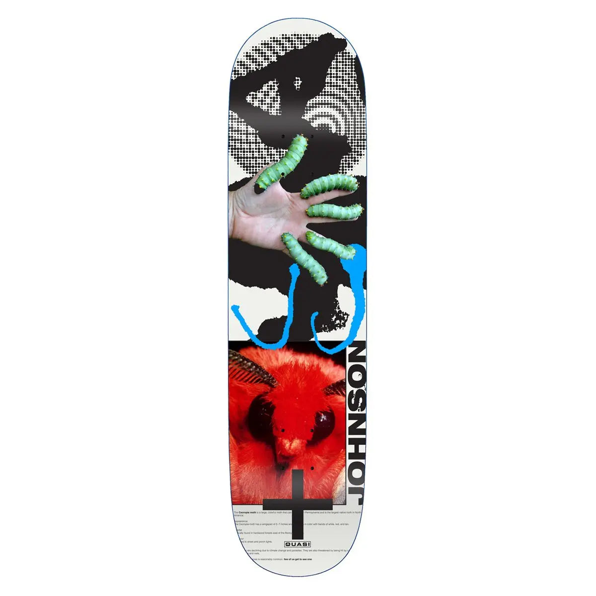 Quasi Johnson 'Mothhead' [8.25”] Quasi