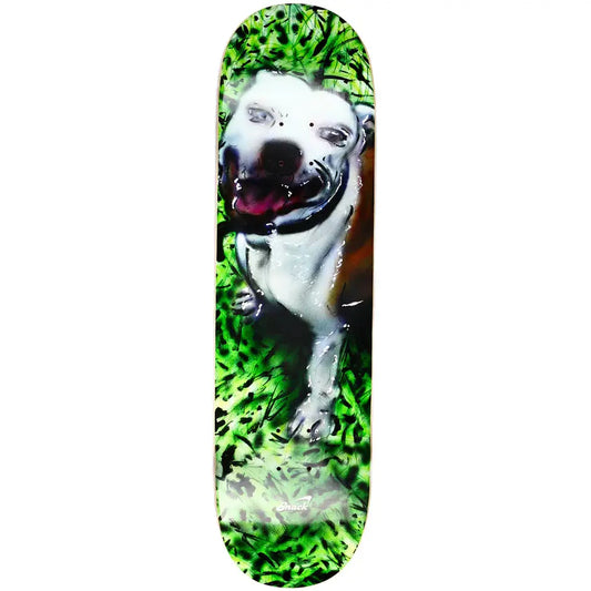 SNACK FERNY Bruce Deck SNACK